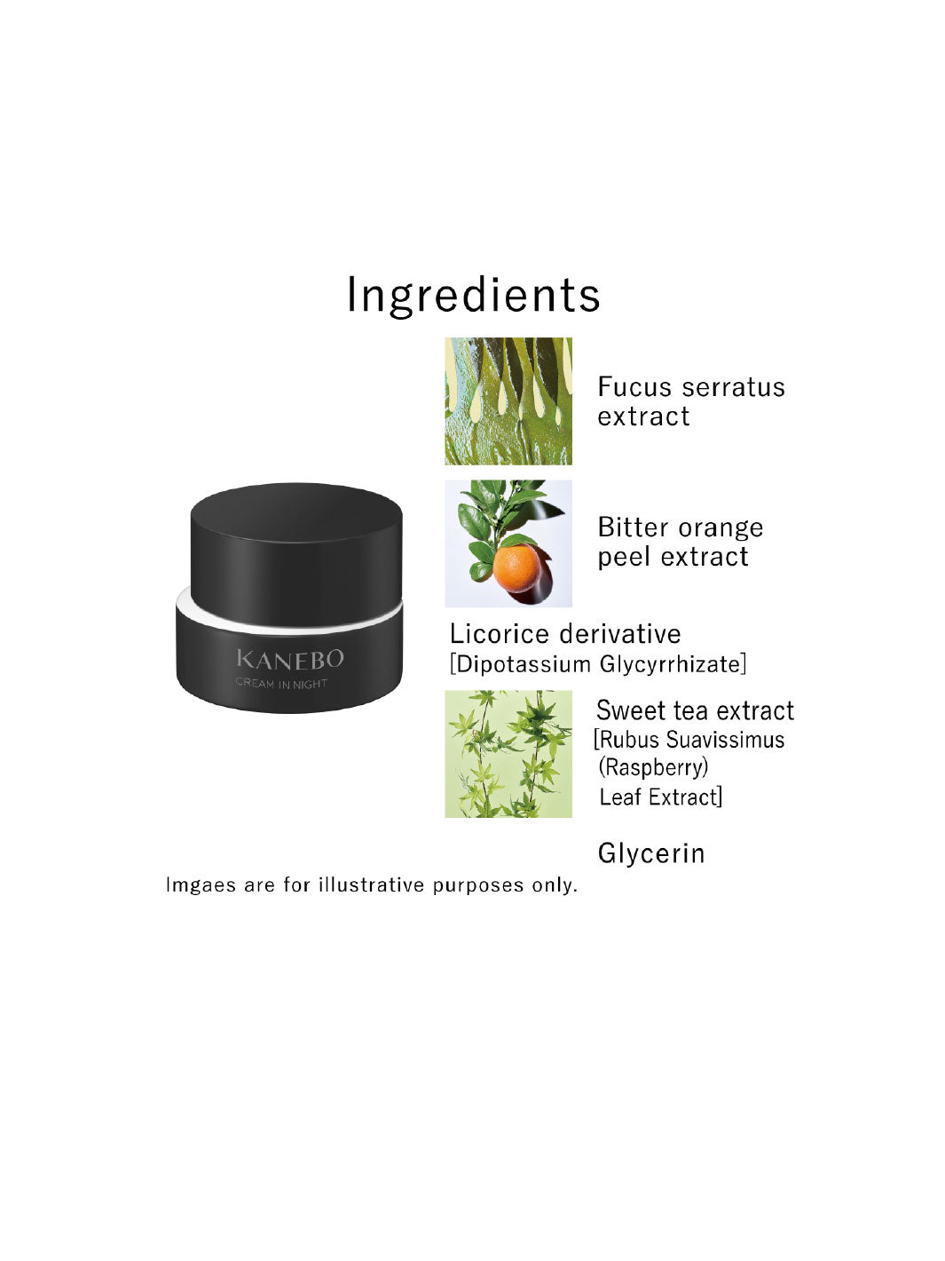 KANEBO Cream In Night