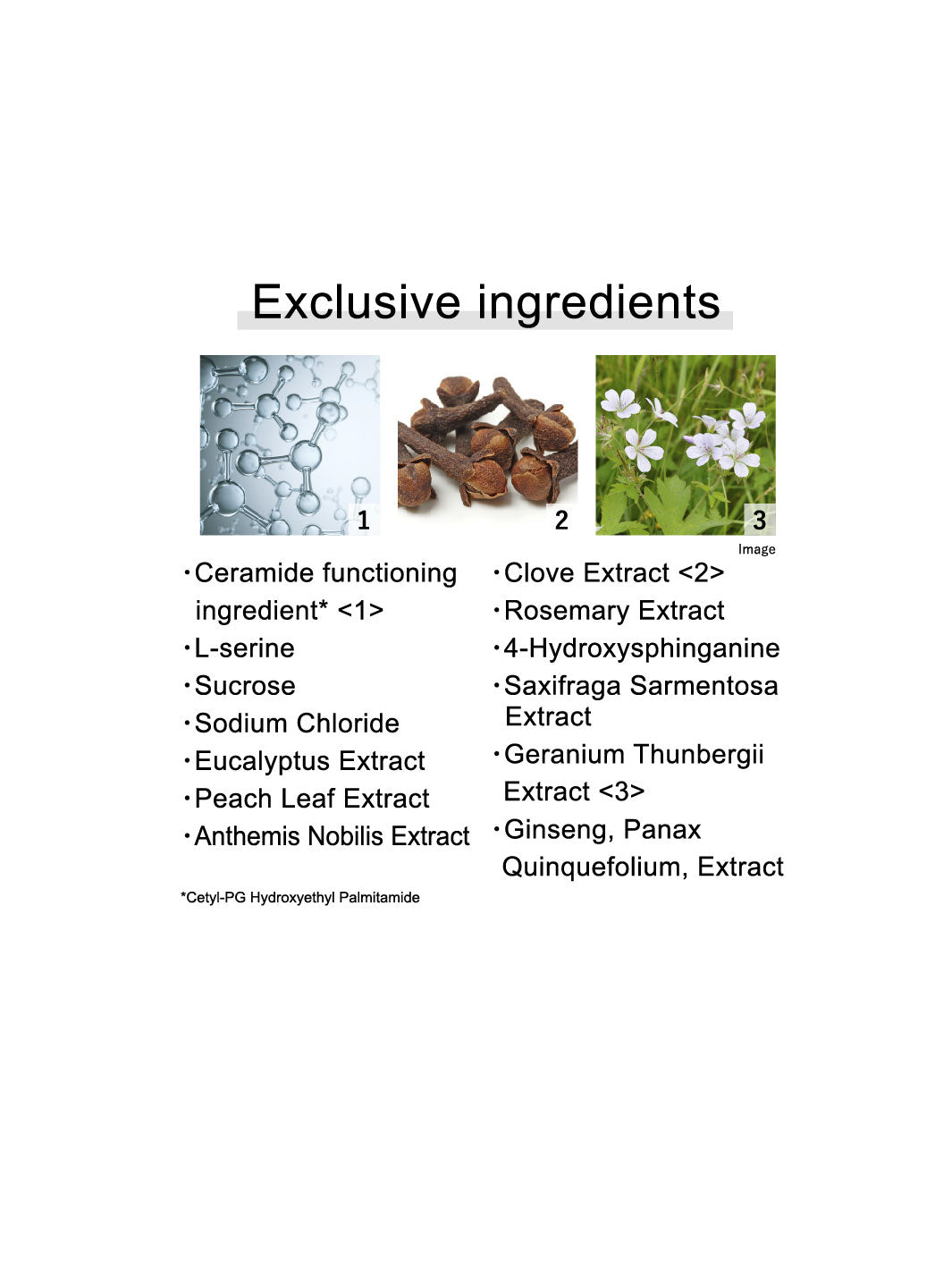 KANEBO Fusion-ing Solution