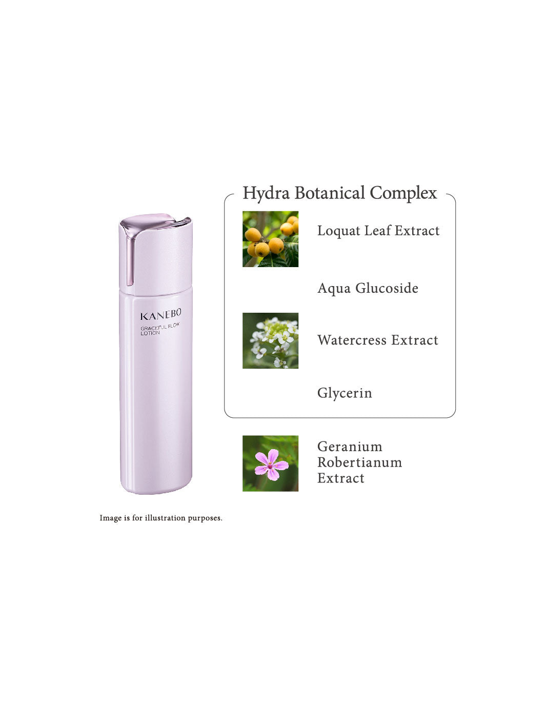 KANEBO Graceful Flow Lotion