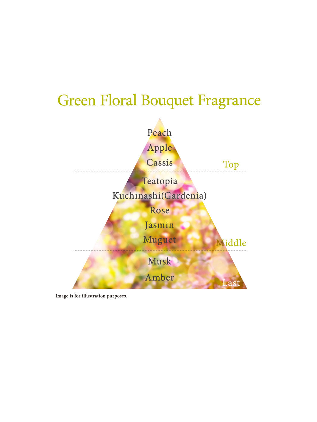 KANEBO Graceful Flow Lotion